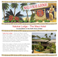 nalukai website one page design example